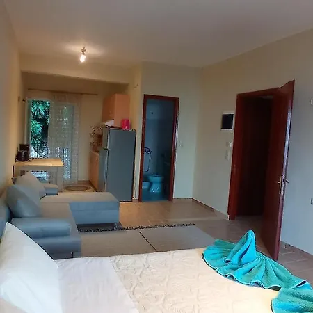 Litheri-studios&apartment Гостевой дом 3*